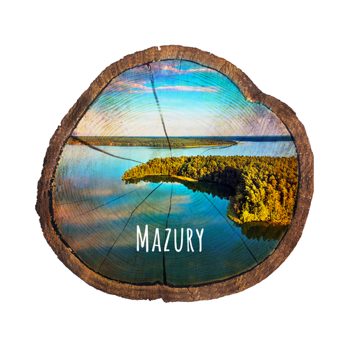 Magnes drewniany pieniek Mazury