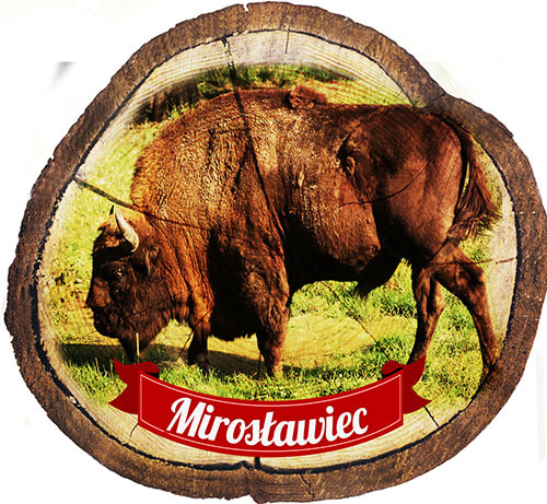 Magnes drewniany pieniek Mirosławiec