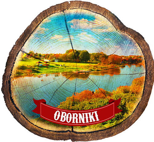 Magnes drewniany pieniek Oborniki