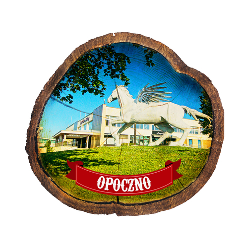 Magnes drewniany pieniek Opoczno