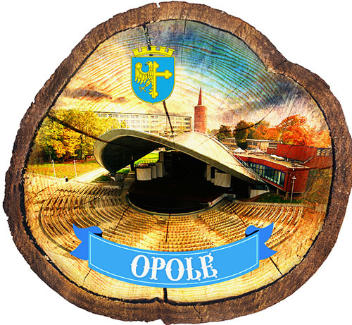 Magnes drewniany pieniek Opole