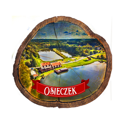 Magnes drewniany pieniek Osieczek