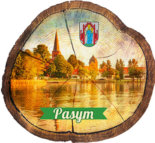 Magnes drewniany pieniek Pasym