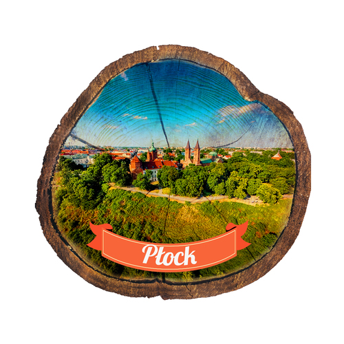 Magnes drewniany pieniek Płock