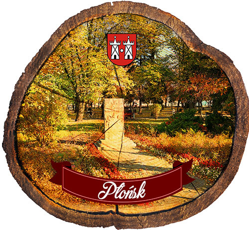 Magnes drewniany pieniek Płońsk