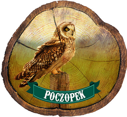 Magnes drewniany pieniek Poczopek