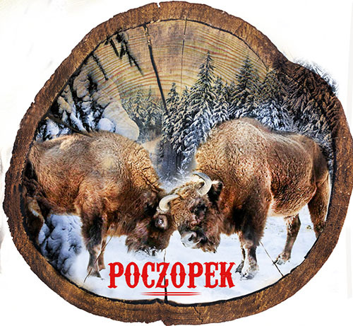 Magnes drewniany pieniek Poczopek