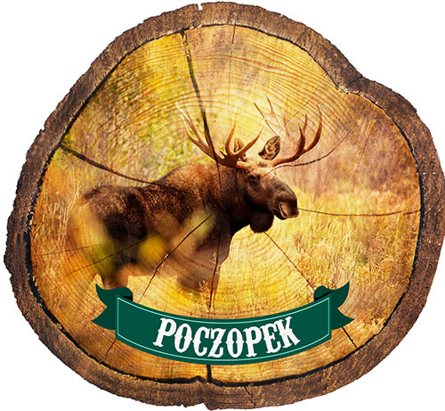 Magnes drewniany pieniek Poczopek