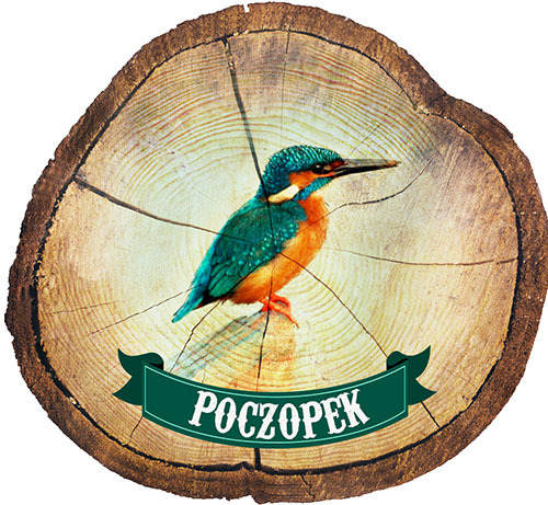 Magnes drewniany pieniek Poczopek
