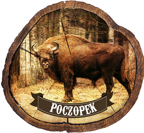 Magnes drewniany pieniek Poczopek