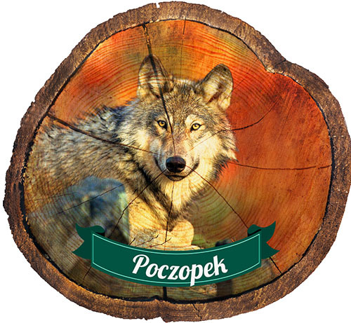 Magnes drewniany pieniek Poczopek