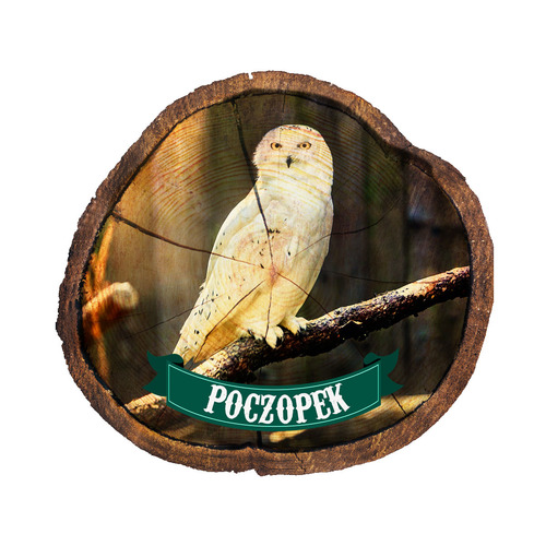 Magnes drewniany pieniek Poczopek