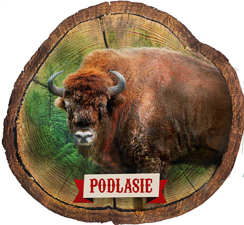 Magnes drewniany pieniek Podlasie