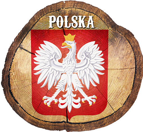 Magnes drewniany pieniek Polska
