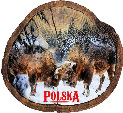 Magnes drewniany pieniek Polska