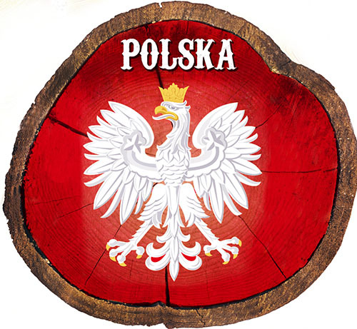 Magnes drewniany pieniek Polska