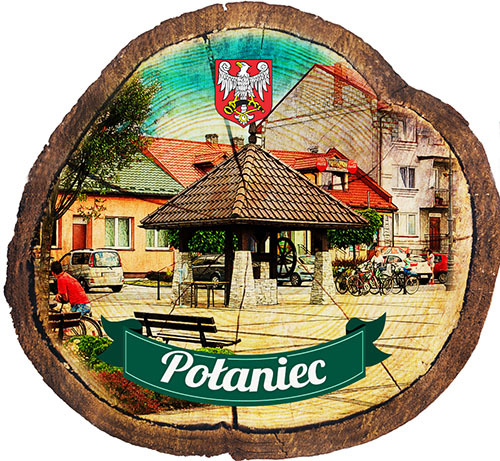 Magnes drewniany pieniek Połaniec