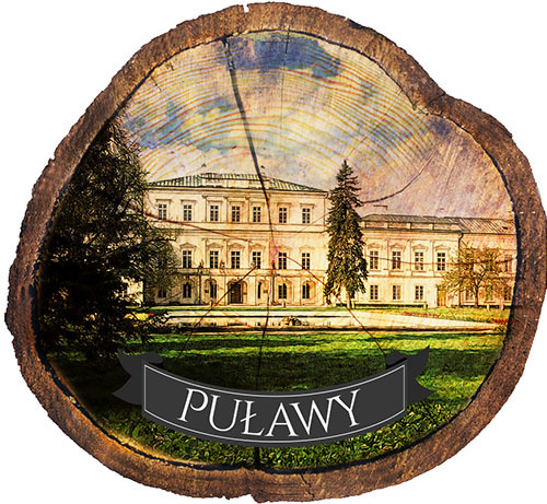 Magnes drewniany pieniek Puławy