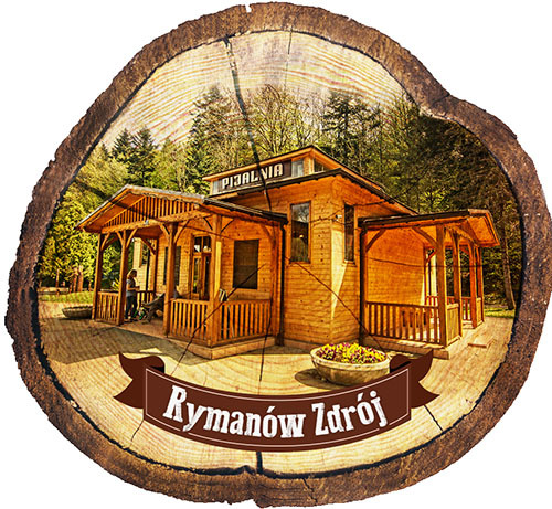 Magnes drewniany pieniek Rymanów-Zdrój